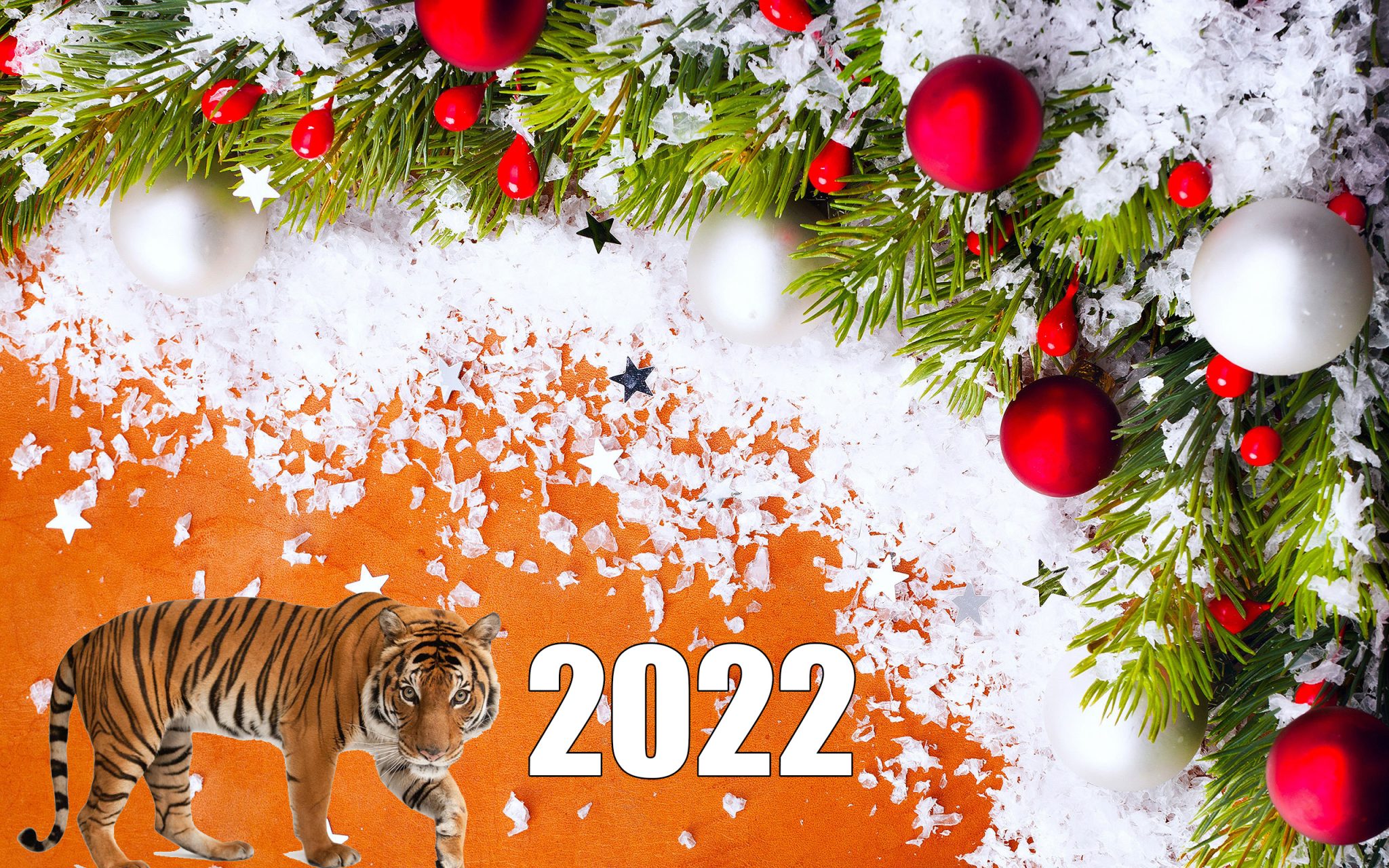 С Новым 2022 Годом!!!